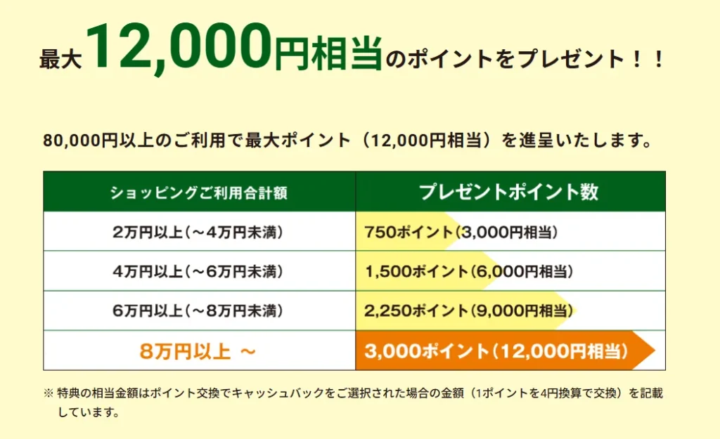 最大12,000円相当のポイントをプレゼント