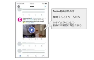 Twitter動画広告の特徴