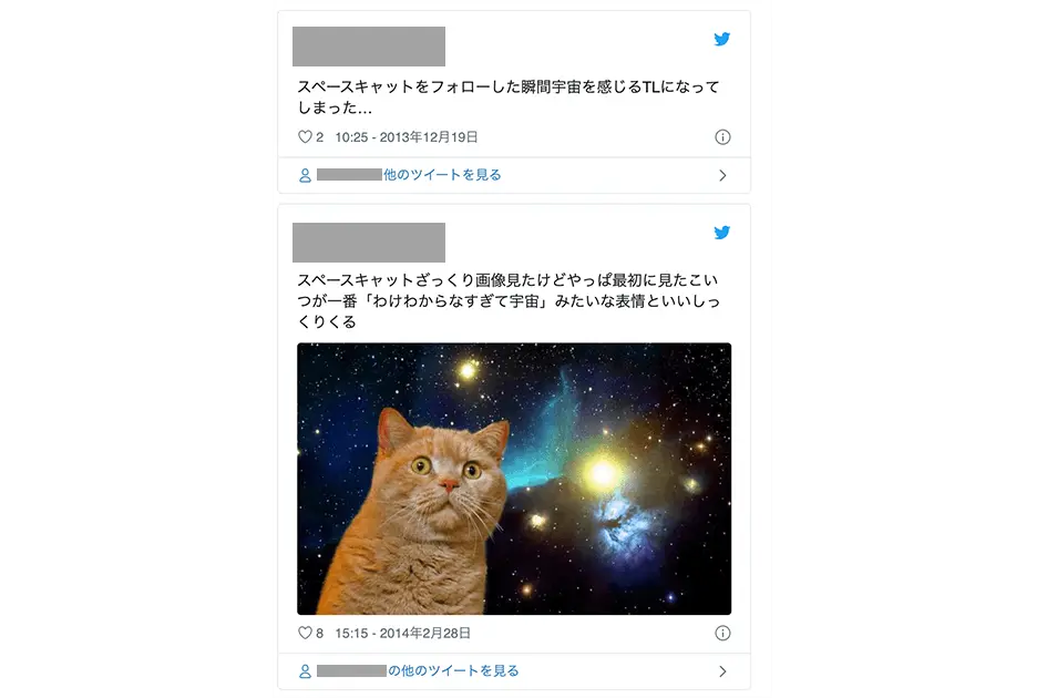 宇宙猫